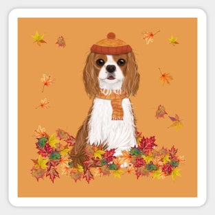 Blenheim in Fall Leave, Blenheim Cavalier King Charles Spaniel Sticker